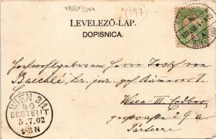 1902 Belovár, Bjelovar; látkép / general view (EM)