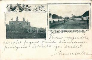 1899 (Vorläufer) Schrattenthal (Niederösterreich), castle, street view. Verlag V. Aloisia Schinner. Art Nouveau, pine cone with dwarf (Rb)