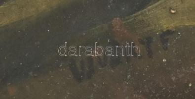 Ujváry Ferenc (1898-1971): Martonvásári szőlőcsősz, 1925. Olaj, karton, jelezve jobbra lent. Hátolda...