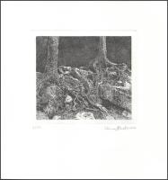 Elmar Peintner (1954-): Kövek és gyökerek. Rézkarc, papír, jelzett. 15x17 cm