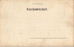 Mali Losinj, Lussinpiccolo; palm tree. B. Lergetporer photo (fl)