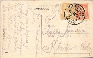 1914 Zsupanya, Zupanja; Svratiste Weinberger / Weinberger szálloda és vendéglő. W.L. Bp. 3707. / hot...