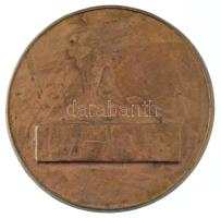 Kutas László (1936-2023) DN "Dr. Nándori Gyula emlékérem" öntött bronz emlékérem (91mm) T:...