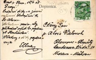 1908 Pazin, Pisino; Sveobci pogled / general view (fl)