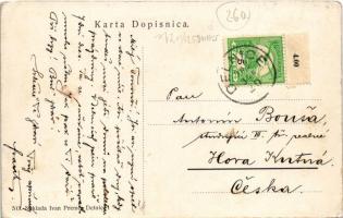 1909 Delnice, vasútállomás, vonat, fatelep. Ivan Premer 543. / railway station, train, lumber yard (...