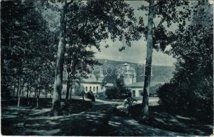 1916 Vatra Dornei, Dornavátra, Bad Dorna-Watra (Bukovina, Bucovina, Bukowina); Kurparkanlagen / spa park + "K.u.K. Militärzensur in Dorna Watra" (EB)