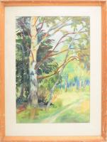 Szilágyi Ilona (1904-1985): Nyírfák. Akvarell, papír, jelezve jobbra lent. Hátoldalán Képcsarnok Vál...