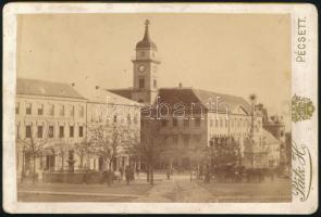 cca 1895 A pécsi Városháza előtti tér a környező épületekkel, Szentháromság-szoborral, konflissal, keményhátú fotó Pátz Hermin műterméből, 16,5×10,5 cm