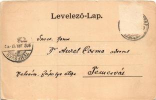 1902 Szászrégen, Sächsisch-Regen, Reghin; Partie aus dem Stadtpark / részlet a városi parkból. Ignat...