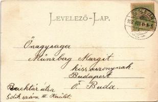 1902 Segesvár, Schässburg, Sighisoara; Vásártér, W. Nagy üzlete. Fritz Teutsch kiadása / Marktplatz ...