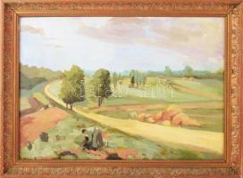 Gaál R jelzéssel, XX. sz. vége: Élet a földeken. Olaj, farost. Dekoratív, kissé sérült fakeretben. 34x46,5 cm