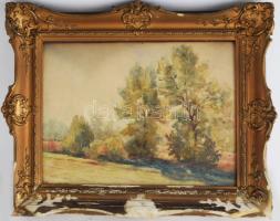 Bundschuh Ottó (1885-?): Reggeli napsütés, 1930. Akvarell, papír, jelzett. Hátoldalán Nemzeti Szalon korabeli raglapjával. Dekoratív, üvegezett, sérült fakeretben, 30×40 cm