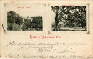 1913 Bikszádfürdő, Baile Bicsad, Bixad; Anna csarnok, park. Czettel és Deutsch kiadása / park. Art Nouveau (fl)