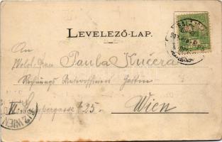 1902 Balázsfalva, Blasendorf, Blaj; Gymnasiul grec. cat., Curtea / Görögkatolikus gimnázium és az ud...