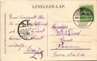 1908 Dicsőszentmárton, Tarnaveni, Diciosanmartin; Erzsébet út, Római katolikus templom, M. kir. post...