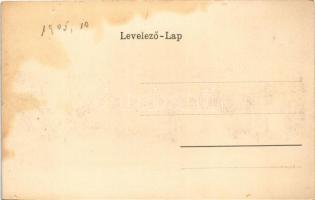 Temesvár, Timisoara; Béga részlet, híd / Bega riverside, bridge (fl)