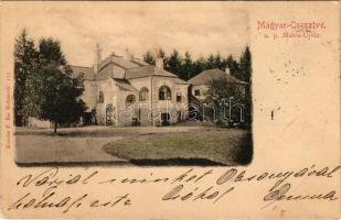 1900 Magyarcsesztve, Magyar-Csesztve, Cisteiu de Mures; Gróf Mikes Kelemen kastélya. Kováts P. fiai kiadása / castle (EB)