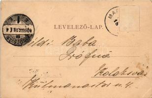 1900 Magyarcsesztve, Magyar-Csesztve, Cisteiu de Mures; Gróf Mikes Kelemen kastélya. Kováts P. fiai ...