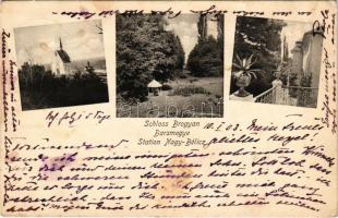 1903 Brogyán, Brodzany (Nagybélic, Velké Bielice); Schloss, Station / Várkastély Bars megyében, park / castle, park (gyűrődés / crease)