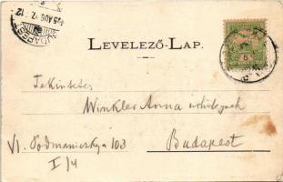 1905 Ceméte, Czeméthe, Czeméte-fürdő, Cemjata (Eperjes, Presov); Budapest villa, nyaraló. Fénynyomat...