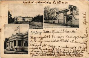 1908 Mezőkapus, Mező-Kapus, Capusu de Campie (Kisikland, Iclanzel); Sándor kúria, kastély, Székelykapu / castle, Székely carved wood gate (Poarta secuiasca) (fl)