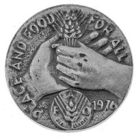 Olaszország 1976. "Peace and Food for All - FAO - 1976" jelzett Ag emlékérem, dísztokban. ...