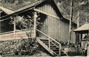 1914 Radnaborberek, Borberek-fürdő, Valea Vinului; Széchenyi forrás / spring source (gyűrődés / crease)