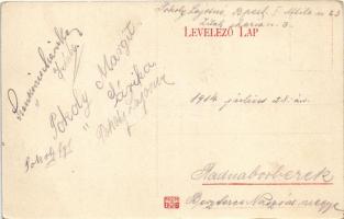 1914 Radnaborberek, Borberek-fürdő, Valea Vinului; Széchenyi forrás / spring source (gyűrődés / crea...