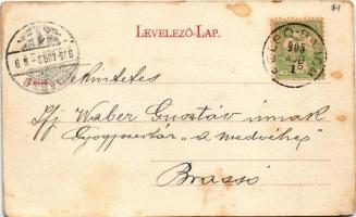 1905 Medgyes, Mediasch, Medias; látkép, zsinagóga. Fritz Guggenberger kiadása / general view, synago...