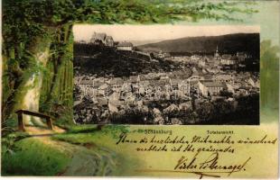 1901 Segesvár, Schässburg, Sighisoara; Totalansicht / látkép. Fritz Teutsch kiadása, szecessziós litho keret / general view. Art Nouveau litho frame (fl)