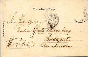 1901 Segesvár, Schässburg, Sighisoara; Totalansicht / látkép. Fritz Teutsch kiadása, szecessziós lit...