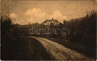 1914 Felsőszivágy, Felső-Szivágy, Asuaju de Sus; Bornemisza kastély. Gergely műintézetéből / castle (EK)