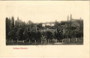 Szilágygörcsön, Szilágy-Görcsön, Görcsöny, Göröncs, Garceiu; Andrássy-Wesselényi kastély. Dunky Fivérek kiadása / castle (r)