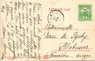 Szilágygörcsön, Szilágy-Görcsön, Görcsöny, Göröncs, Garceiu; Andrássy-Wesselényi kastély. Dunky Fivé...