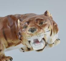 Német tigris porcelán figura. Kézzel festett, jelzett, hibátlan 27 cm