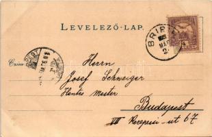 Crikvenica, Cirkvenica; Castell Erzherzog Josef. Druck und Verlag v. Louis Glaser (Leipzig) / kikötő...