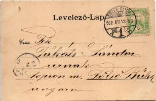 1902 Eszék, Essegg, Osijek; Kolodvorska Cesta. Georg Knittel / Bahnhofstrasse / Vasútállomás utca, l...