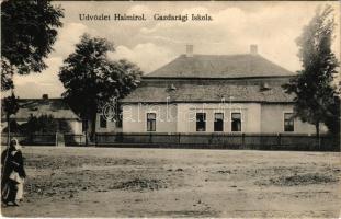 1913 Halmi, Halmeu; Gazdasági iskola. Liebeck és Grosz kiadása / economic school (kis szakadás / small tear)