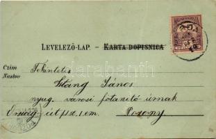 1901 Eszék, Essegg, Osijek; Dr. Maksimovic'sches Haus, Bauerntracht, Postgebäude, Ecke der Bahn...