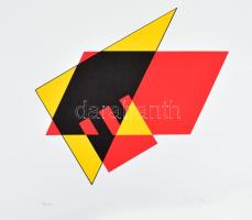 Vigh Irén (-): Geometria. Szitanyomat, papír. Jelzett. Számozott. 18/60, 34x43 cm