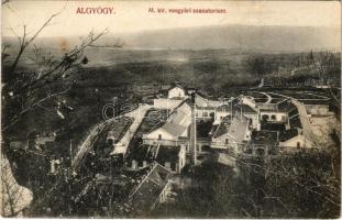 Algyógy, Geoagiul de jos, Geoagiu; M. kir. vasgyár szanatóriuma. Adler fényirda (Szászváros) 1911. / sanatorium of the iron factory (fl)