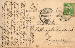 1908 Szigetkamara, Camara Sighet (Máramaros); Kereskedelmi részvénytársaság sómalma, sóbánya, iparva...