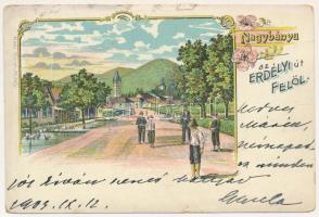 1903 Nagybánya, Baia Mare; az Erdélyi út felől. Molnár Mihály kiadása / street view. Art Nouveau, floral, litho (r)