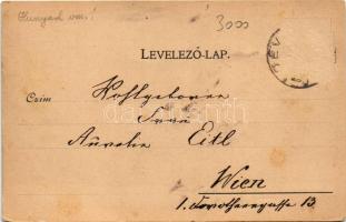 1898 (Vorläufer) Déva, Vármegyeháza, Piactér, Fő utca, Déva vára, Vajdahunyad vára. Hirsch Adolf kia...