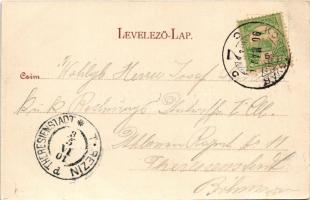 1901 Kolozsvár, Cluj; Deák utca napivásárral, piac, Stein János, Klenk Emília üzlete / street, marke...