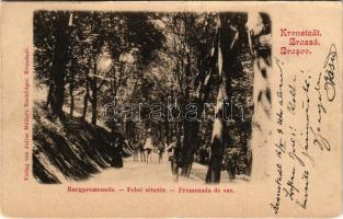 1904 Brassó, Kronstadt, Brasov; Burgpromenade. Verlag von Julius Müller's Nachfolger / Felső sétatér / Promenada de sus / promenade (EK)