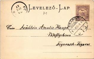 1900 Brassó, Kronstadt, Brasov; Corso auf der Kornzeile / Búzasor, Servatius &amp; Graef, Victor...