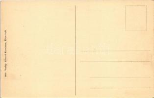 Brassó, Kronstadt, Brasov; Postwiese. Verlag Eduard Kerschner / Postarét / Livadia postei