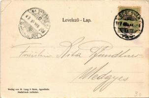 1907 Szentágota, Agnetheln, Agnita; Ev. Hauptvolksschule, Ev. Kirche, Fronius-Denkmal im Schulgarten...