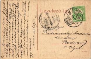 1909 Brassó, Kronstadt, Brasov; Vársétány és vízmű. W. L. 141. / Burgpromenade und Wasserwerk / cast...